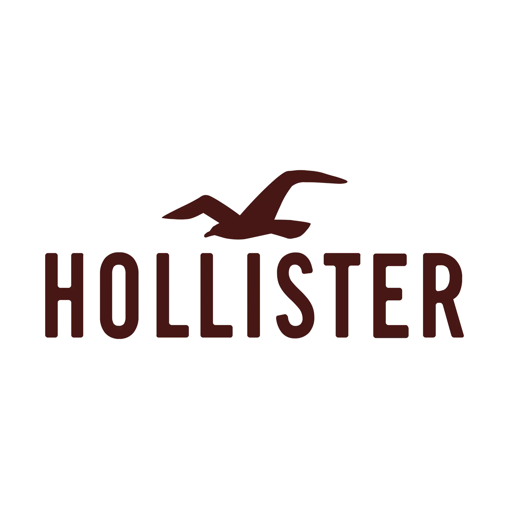 Logo of Hollister