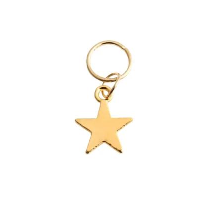 Lotus Διακοσμητικά Για Jumbo 1*10τμχ HA8 Χρυσό