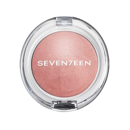 Seventeen Celestia All Over 01