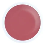 Alezori A&G Hybrid Bijoux 30gr