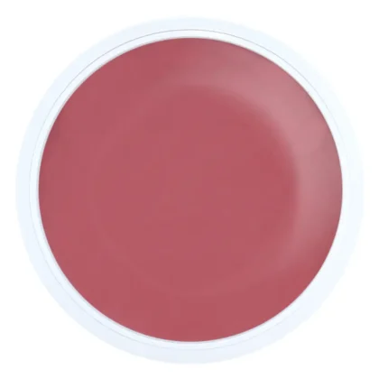 Alezori A&G Hybrid Bijoux 30gr