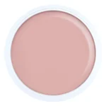 Alezori A&G Hybrid Pudre