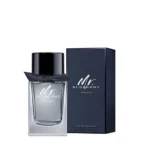 Burberry Mr Burberry Indigo EDT 100ml